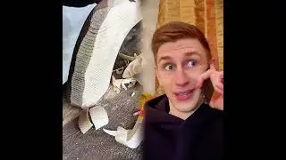 #capcut