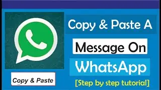 How To Copy And Paste A Message On WhatsApp