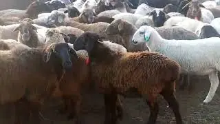 1 октября 2023 г.