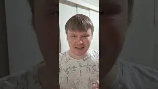 В гибели кота Твикса виноват хозяин?