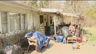 Dogs, Cats, A Turtle & A Deer Found Living In Filth Inside Home