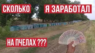 СКОЛЬКО Я ЗАРАБОТАЛ НА ПЧЕЛАХ?!!