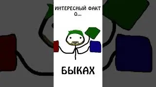 Интересный факт о Быках 