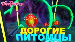 Дорогие питомцы | Slime Rancher #3