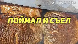 ПОЙМАЛ И СЪЕЛ