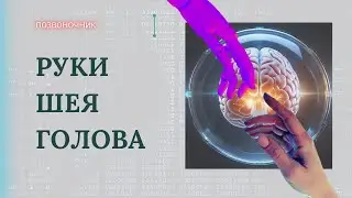 Взаимодействие рук, шеи и головы на спине. Знакомство с лопатками.