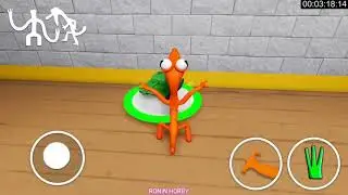Adventure at speed with RAINBOW friends in different locations.