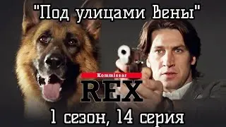 Комиссар Рекс, 1 сезон, 14 серия ( 