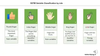Clinical SAS: SDTM Variables Classification by role