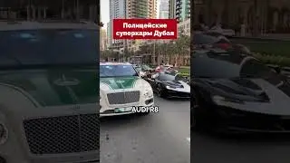 Зачем полиции Дубая суперкары? Dubai Police Cars 