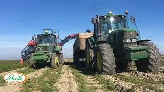 Уборка моркови. Крестьянское хозяйство Михаила Шруба