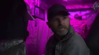 Мусоролог (сериал 
