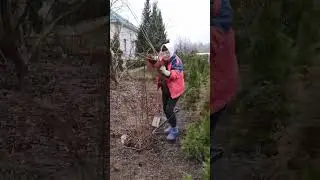 Весна наступила! Энергия так и прёть! Приезжайте ко мне озеленяться!🌱🌳🌲🌸🌺💮 