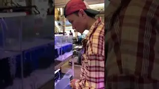 Lại đi mua thêm cá cho hồ thuỷ sinh P1