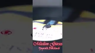ŞİMDİ YAYINDA MÜSLÜM GÜRSESİN(ORJİNAL PLAK KAYDI)YAPRAK DÖKÜMÜ PARÇASINI PROFİLDEN DİNLİYEBİLİRSİNİZ