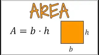 How to Calculate the Area of a Square | 3 Examples