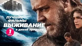 Фильмы о выживании в дикой природе. Часть 1 (Ной, Альфа, Между нами горы, и другие)