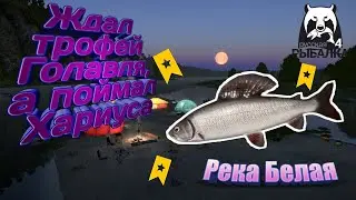 РУССКАЯ РЫБАЛКА 4 РЕКА БЕЛАЯ ТРОФЕЙ ХАРИУС ЕВРОПЕЙСКИЙ
