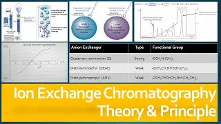 Ion Exchange Chromatography - Theory & Principle, Factors affecting protein binding
