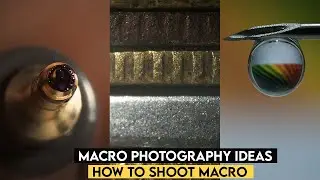 Macro Photography Ideas and How to shoot Macro (Macro Photography Techniques)