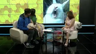 Вся Уфа. Утро в столице, 17.06.2020 - Ветеринар Гульнара Цапалова вместе с кроликом
