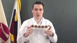 Невролог массажист о пятишариковом проекторе Нуга Бест ❗