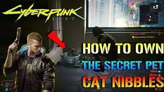 Cyberpunk 2077: How To Own The Secret PET CAT 