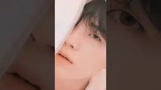 #btsff