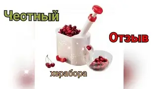 Машинка для удаления косточек из вишни.