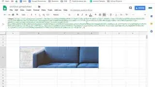 Use Images from Google Drive and Google Photos in Google Sheets