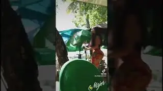 This Stallion Had Heads Turning on Sosua Beach 🇩🇴 