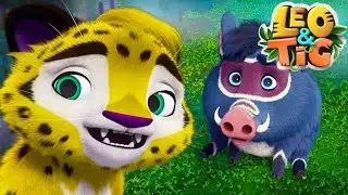 Leo and Tig 🦁 New collection for children 🐯 Fun family Good cartoon for children 🔴 LIVE