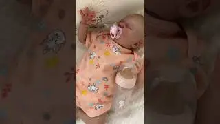 #reborn