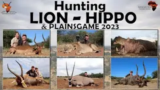 Dangerous Hunts - Lion, Hippo, And Plains Game Hunting In Africa.