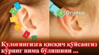 Қулоқингизга 5 Секунд Прищепка Қўйинг ва Эффектини Куринг