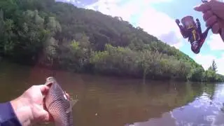 Ловля Голавля в мутной воде