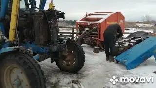 СТРОИМ СЕМЕЙНУЮ ФЕРМУ!ПРОДАЮ СЫЧЕВСКИХ ТЕЛОЧЕК!СДАЛА ДВУХ КОРОВ!ПИКИРУЮ ПЕТУНИИ И ПОЛУЧИЛА ЛИЛИИ!