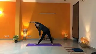 Sivananda live class - 23 Nov 8 am