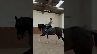 This is just the beginning 🐴🖤💥 #equestrian #horse #horseriding