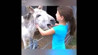 Cute Animals Hugging Humans😮
