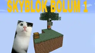 SkyBlock Minecraft w/‪@darwinytss