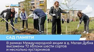 В рамках Международной акции в д. Малая Дубна высажены 72 яблони и несколько кустарников
