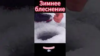 Зимнее отвесное блеснение