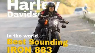 Harley Davidson 🔥 sound Iron 883 vs 48 #harleydavidson