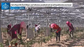ÇİN' DE YEŞİL KALKINMAYI GERÇEKLEŞTİRMEK İÇİN ÇÖL KAYNAKLARINDAN YARARLANIYOR!