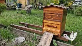 335. Влог: почти не рукодельный. Апрель 2024/ Мини обзор журнала, дача и кое что ещё