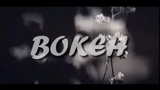 Video Bokeh Blur Black & White