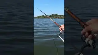 На що впіймати рибу з човна? Лише на таку насадку #яворович #fishing #мастирка #рибалка  #мастирка