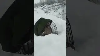 кабки шикори фуруши гарантия номеро988418495