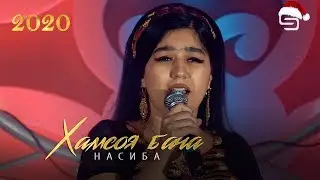 Насиба - Хамсоя бача | Nasiba - Hamsoya bacha